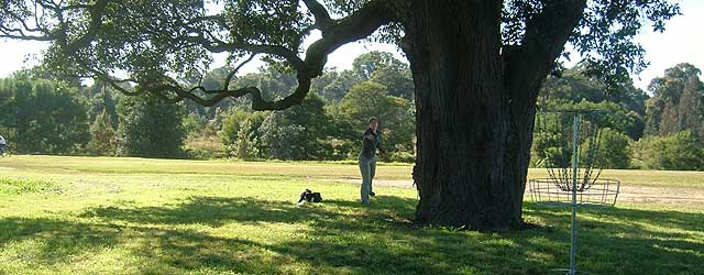 Disc Golf New Zealand